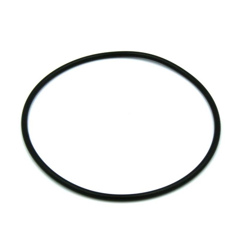 Joint torique de volute pour pompe Hydroswim HP et HG