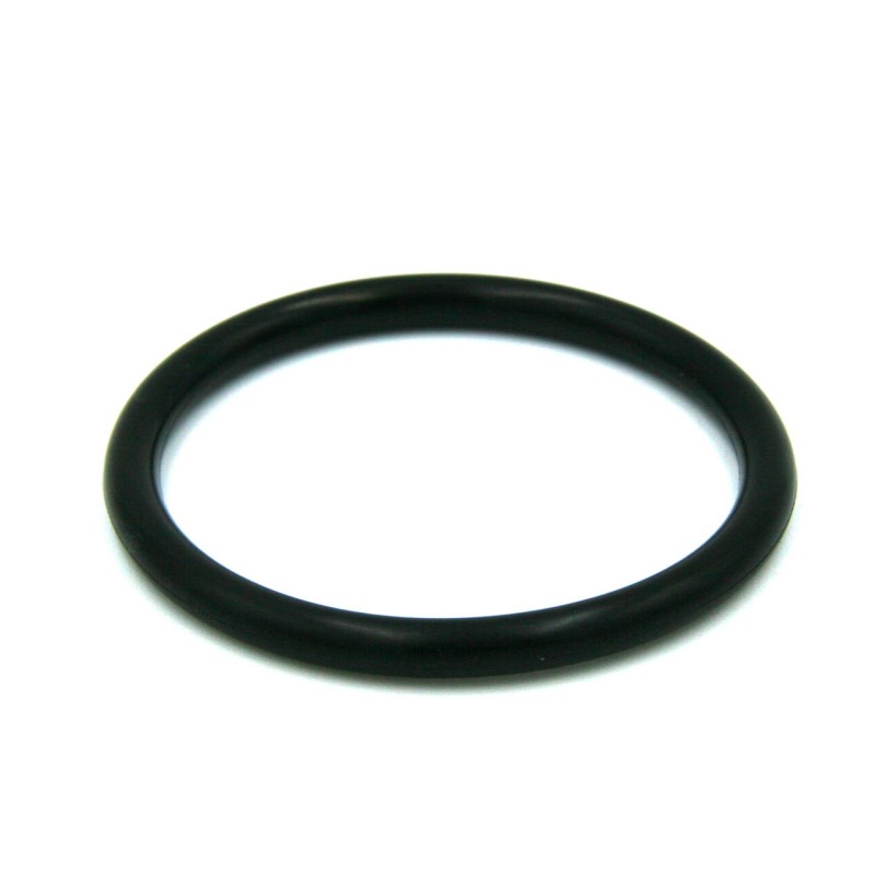 joint de raccord pour pompe Hydroswim HG