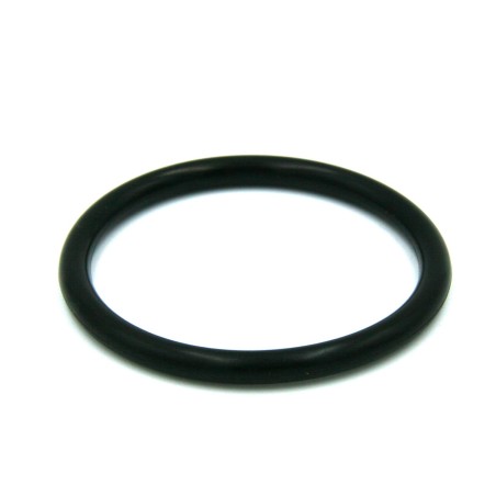 joint de raccord pour pompe Hydroswim HG